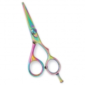 Professional Hair Cutting Scissors